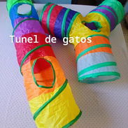 12 USD DIVERTIDO PARA 🐱 - Img 58205765