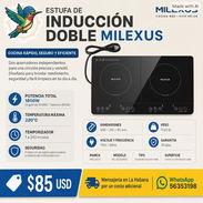 ESTUFA DE INDUCCIÓN DOBLE MILEXUS - Img 57193083