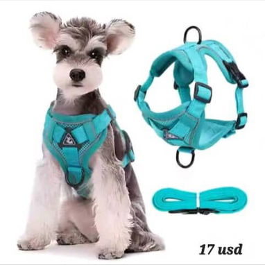 Vendo accesorios para mascotas - Img 122446240