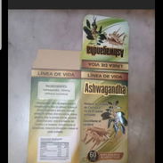 Suplemento alimenticio 60 capsulas (potencia el sueño) - Img 56642654