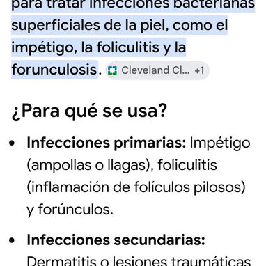 Mupirocina en unguento - 2/2