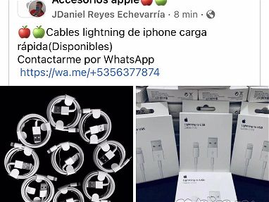 🍎🍏Cables lightning de iphone - Img main-image