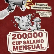 Se busca emprendedor porcino - Img 58158036