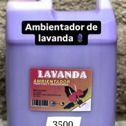 Ambientador de Lavanda(TPL) - Img 56134103