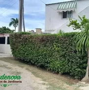 Servicios de jardineria - Img 50043760