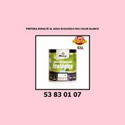 ✅ ✅ ✅ PINTURA ESMALTE AL AGUA ECOLÓGICO E01 COLOR BLANCO✅ ✅ ✅ . - Img 54965278