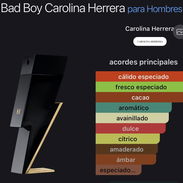 ⚡ Bad Boy — actitud que no pide permiso. - Img 57511676