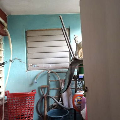 Vendo casa 🏠 1/1 la habana, llama a Alba a el número (+5353106558) papeles en regla! Permuto también - Img 125455102