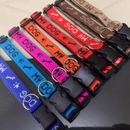 Collares Pecheras Correas - Img 52509362
