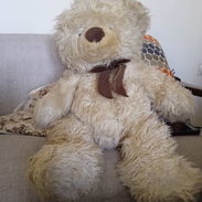 Muñecos oso de peluche - Img 54849306