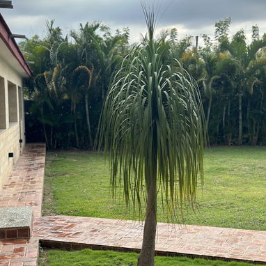 Renta lineal, Casa Finca - Img 124394624