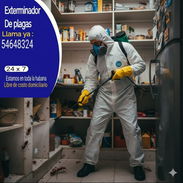 Fumigador - profecionalidad y garantía - Img 56674072