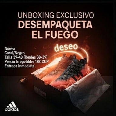 Tenis No.39 - 2/3