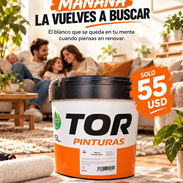 3🎨 PINTURA BLANCA TOR 15 L — 55 USD - Img 57871831