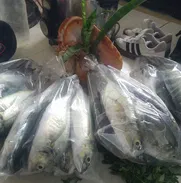 Mensajería de pescado 55665753 - Img 50175483