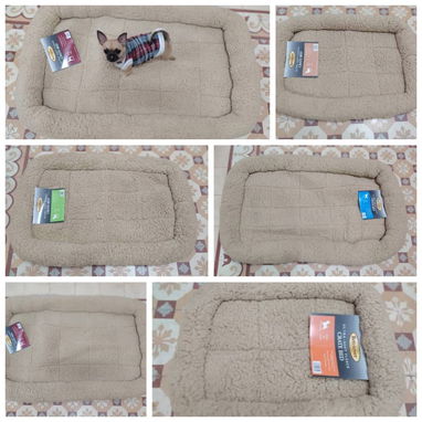 Camas para perros y gatos - Img 112583070