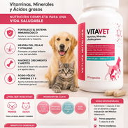 Multivitaminas para perros y gatos - Img 56398525