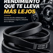 Correas de varias medidas - Img 58033925