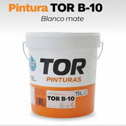 Pintura Vinil TOR - Img 54513107