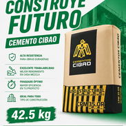 Cemento gris - Img 55743304