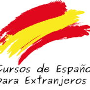 Profesor de español para extranjeros (cursos personalizados a domicilio) +53 54225338 - Img 45198326