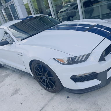 Shelby Cobra GT350 - 2/8
