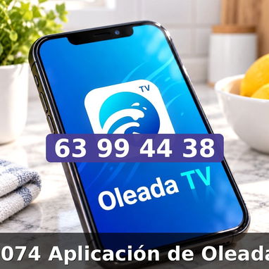 Aplicación de Oleada - 3/3