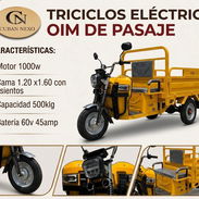 Triciclo Eléctrico  OIM DE PASAJE OKMP - Img 56891182