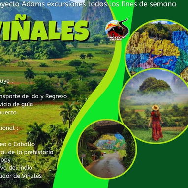 Excursiones y pasadias! - Img 126703309