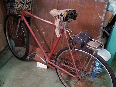 Bicicleta Rusa - Img main-image-45780837
