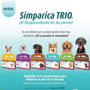 Simparica Trio, comprimidos antiparasitarios para perros de amplio espectro - Img 46044880