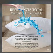 Protector de almohada impermeable Marca : Spring Night(TB) - Img 56388879