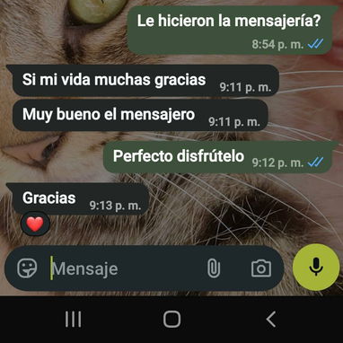 Camas capitoneadas y de tubo, colchones y muebles con mensajería gratis - 9/10