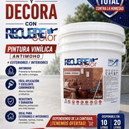 PINTURA VINIL ANTIHUMEDAD PARA EXTERIORES Y INTERIORES DE NACIONALIDAD ESPAÑOLA ORIGINALES SELLADAS - Img 56817926