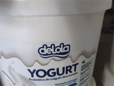 Yogurt probiótico - Img main-image-45821357