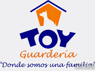 Cuidado de perros de PEQUEÑA TALLA y gatos DOMÉSTICOS,  en Guardería Toy - Img 62512859