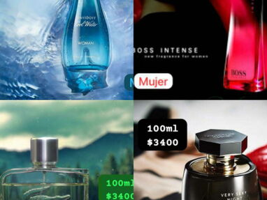 Perfumes - Img 64134208
