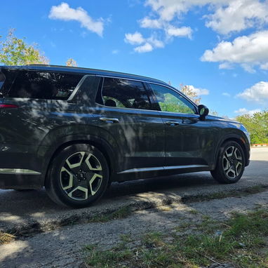 Vendo o negocio, Hyundai Palisade, 2024, en Vin 2023 en circulación - Img 114093622