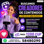 Buscamos Creadores de Contenidos (Pago diario) - Img 56858624