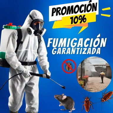 Fumigacion onil - Img 123831418