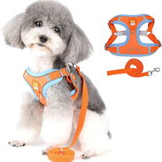 PECHERAS Y ARREOS PARA PERROS🐶✅️📲🐾53902244 - Img 55025900