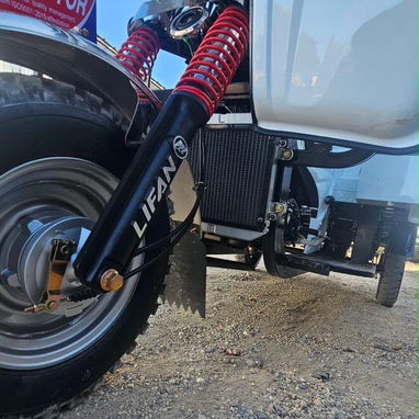 Triciclo con unidad lifan - 5/6