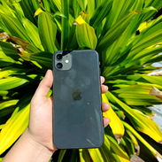 iPhone 11 - Img 57506099