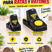 Venta de Ratoneras - Img 57519892