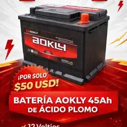 Batería ácido plomo marca aokly - Img 56874013