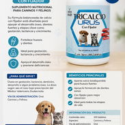 Suplemento de Calcio, Fósforo y Vitamina D para mascotas - Img 58379942