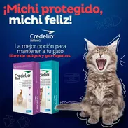 Credelio para gatos - Img 55222737