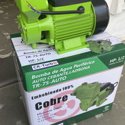 ENTREGA GRATIS Y GARANTÍA .Ladrón de agua o bomba Autocebante 50 USD  Acepto euro y transferencia MN - Img 51571643