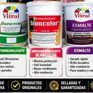 Pinturas - Img 55440530
