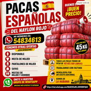 Pakas pacas - Img 57523886